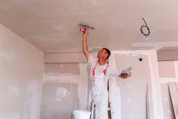 Best Exterior Painting Solutions  in USA